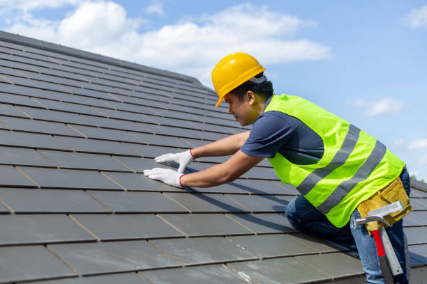 Best Storm Damage Roof Repair  in Apollo, PA
