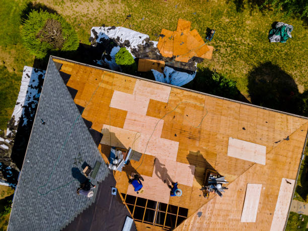 Best Roof Replacement Cost  in Apollo, PA