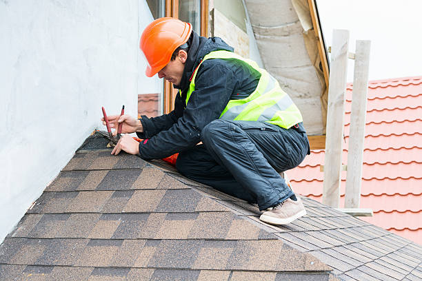 Best Metal Roofing Contractor  in Apollo, PA