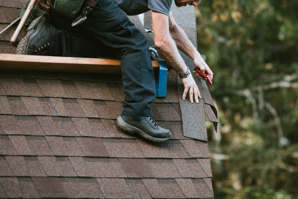 Best Gutter Installation and Roofing  in Apollo, PA